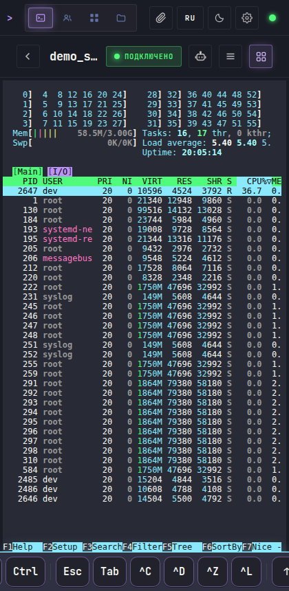 Терминал Dev Platform на телефоне с панелью дополнительных клавиш Ctrl, Esc, Tab